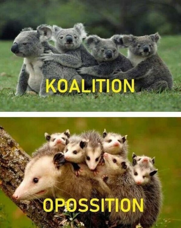 Koalition-Opposition.jpg