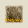 Hedgehog