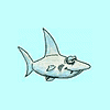 shark007